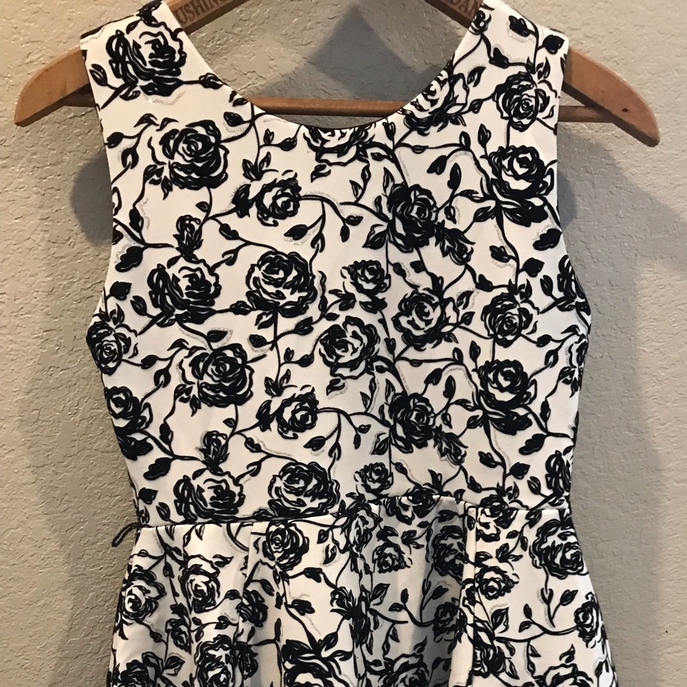 Black and white rose dress with velvet and shimmery details. Lace ruffle under.